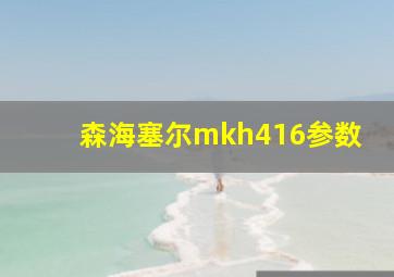 森海塞尔mkh416参数