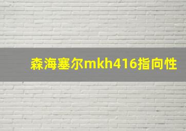 森海塞尔mkh416指向性