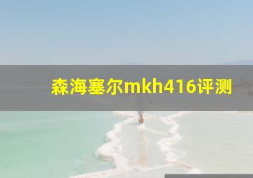 森海塞尔mkh416评测