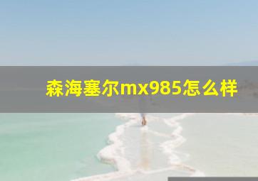 森海塞尔mx985怎么样