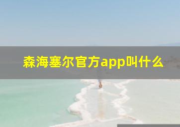 森海塞尔官方app叫什么