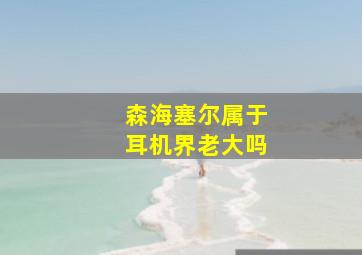 森海塞尔属于耳机界老大吗