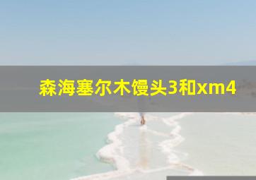 森海塞尔木馒头3和xm4