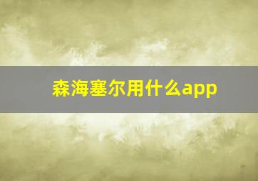 森海塞尔用什么app