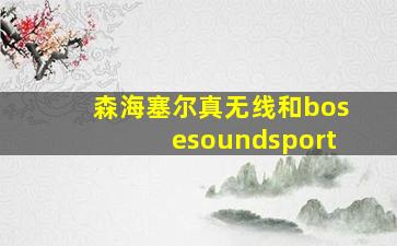 森海塞尔真无线和bosesoundsport