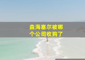 森海塞尔被哪个公司收购了