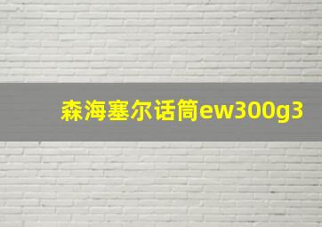 森海塞尔话筒ew300g3