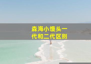 森海小馒头一代和二代区别