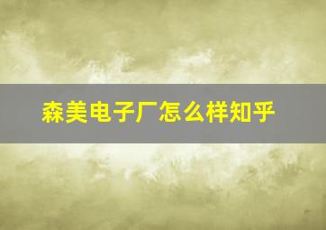 森美电子厂怎么样知乎