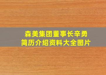 森美集团董事长辛勇简历介绍资料大全图片