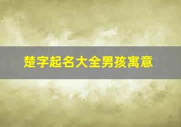 楚字起名大全男孩寓意