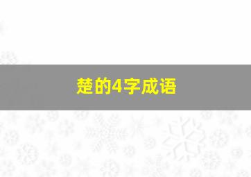 楚的4字成语