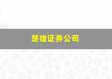 楚雄证券公司