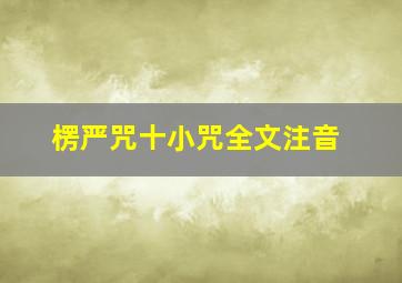 楞严咒十小咒全文注音