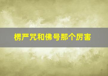 楞严咒和佛号那个厉害