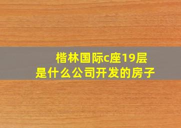 楷林国际c座19层是什么公司开发的房子