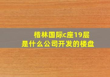 楷林国际c座19层是什么公司开发的楼盘