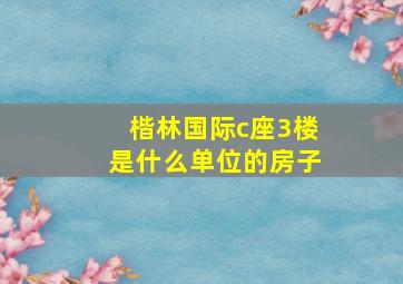 楷林国际c座3楼是什么单位的房子