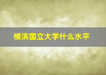 横滨国立大学什么水平