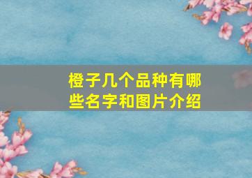 橙子几个品种有哪些名字和图片介绍