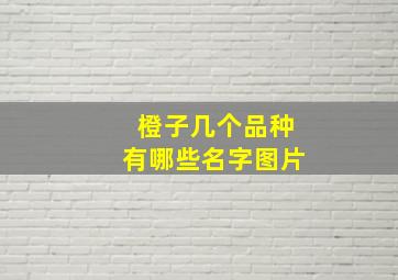 橙子几个品种有哪些名字图片