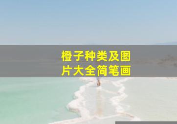 橙子种类及图片大全简笔画