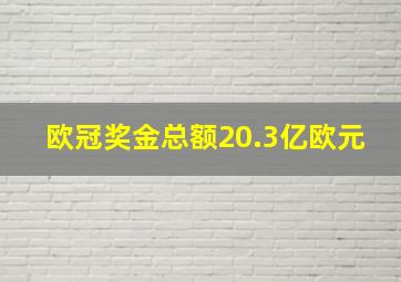 欧冠奖金总额20.3亿欧元