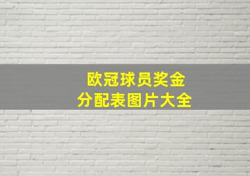 欧冠球员奖金分配表图片大全