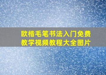 欧楷毛笔书法入门免费教学视频教程大全图片