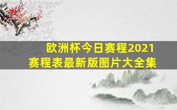 欧洲杯今日赛程2021赛程表最新版图片大全集