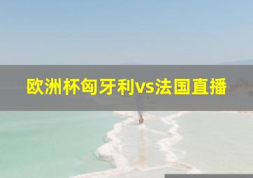 欧洲杯匈牙利vs法国直播