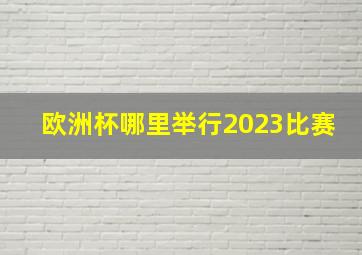 欧洲杯哪里举行2023比赛