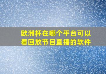 欧洲杯在哪个平台可以看回放节目直播的软件