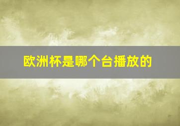 欧洲杯是哪个台播放的