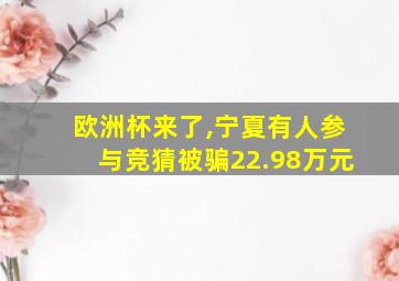 欧洲杯来了,宁夏有人参与竞猜被骗22.98万元