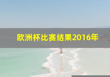 欧洲杯比赛结果2016年