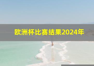 欧洲杯比赛结果2024年