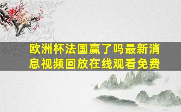 欧洲杯法国赢了吗最新消息视频回放在线观看免费