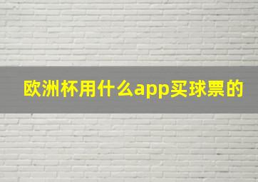 欧洲杯用什么app买球票的