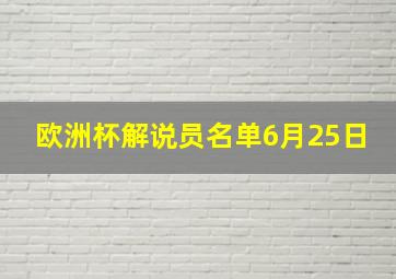 欧洲杯解说员名单6月25日