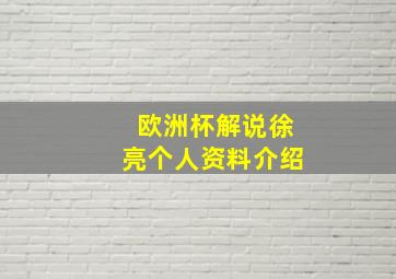 欧洲杯解说徐亮个人资料介绍