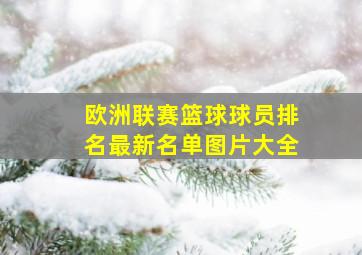 欧洲联赛篮球球员排名最新名单图片大全