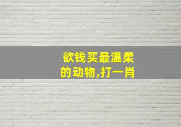 欲钱买最温柔的动物,打一肖