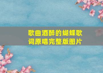 歌曲酒醉的蝴蝶歌词原唱完整版图片