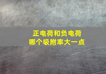 正电荷和负电荷哪个吸附率大一点