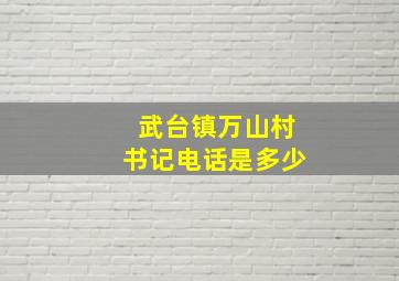 武台镇万山村书记电话是多少