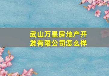 武山万星房地产开发有限公司怎么样