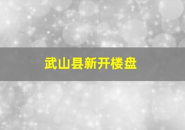 武山县新开楼盘