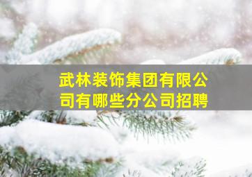 武林装饰集团有限公司有哪些分公司招聘