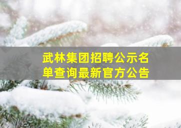 武林集团招聘公示名单查询最新官方公告